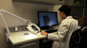 THE AVEN INSPECTOR MAGNIFYING LAMP