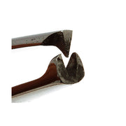 Aven Toothed Tissue Forceps 5-1/2 inches