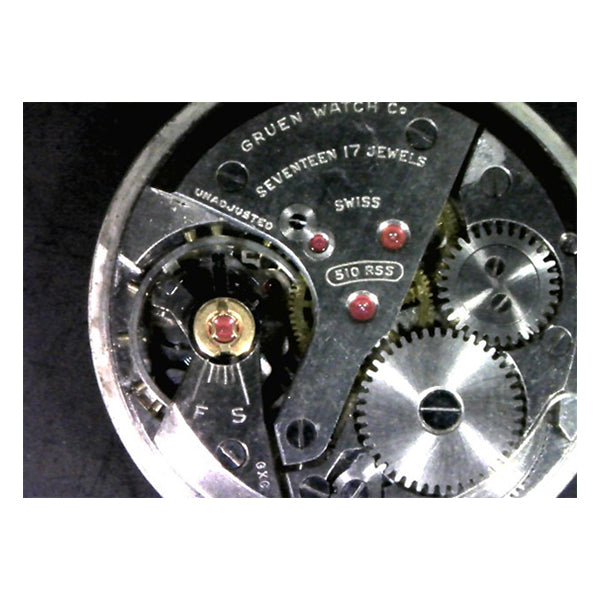 PHILIPS - イルカ NIH 3D - 2FZU