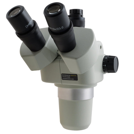 Microscope Selection Tree