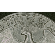 Mighty Scope ClearVue Digital Microscope 8x-25x with Dual Gooseneck LEDs and Back  Light