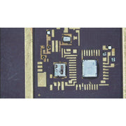 e-Series Digital Microscope HDMI Color Camera w/8GB USB Flash Drive & Internal Measurement Software